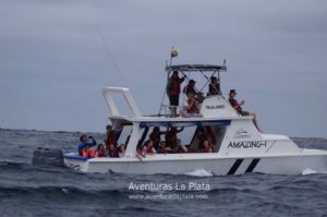 Yate Amazing de Aventuras La Plata